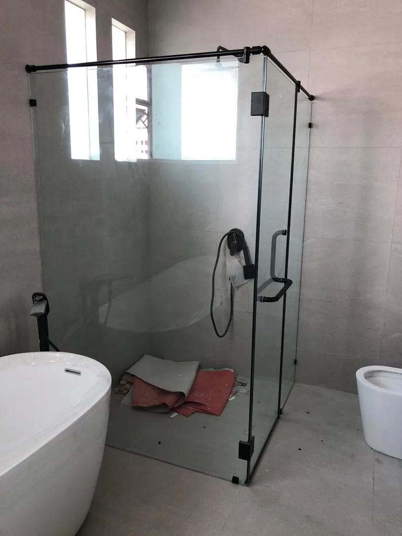 Shower Screen