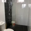 Shower Screen